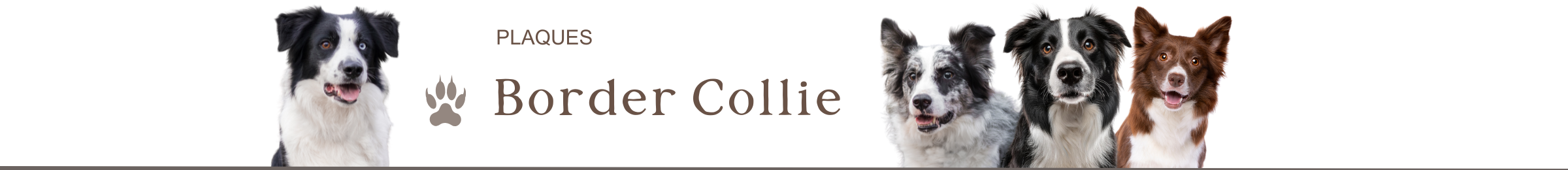 panneaux border collie je monte la garde plaque attention au chien pancarte portail