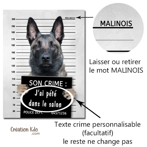 plaque prisonnier pancarte chien malinois personnalisé