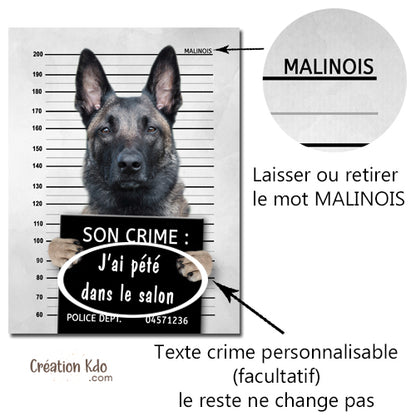 plaque prisonnier pancarte chien malinois personnalisé