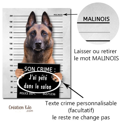 plaque malinois