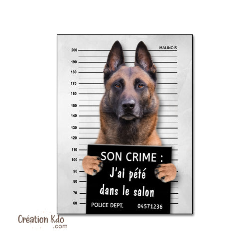 chien vegan humour panneau malinois plaque je monte la garde