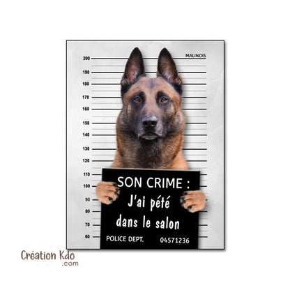 chien vegan humour panneau malinois plaque je monte la garde