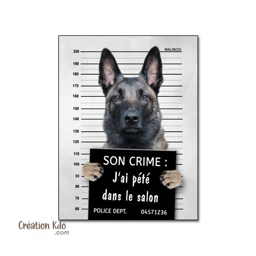 pancarte prisonnier chien photo malinois personnalisé plaque panneau je monte la garde