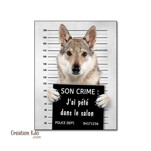 Plaque humoristique prisonnier Chien-Loup Tchèque poste de police Panneau Mugshot 