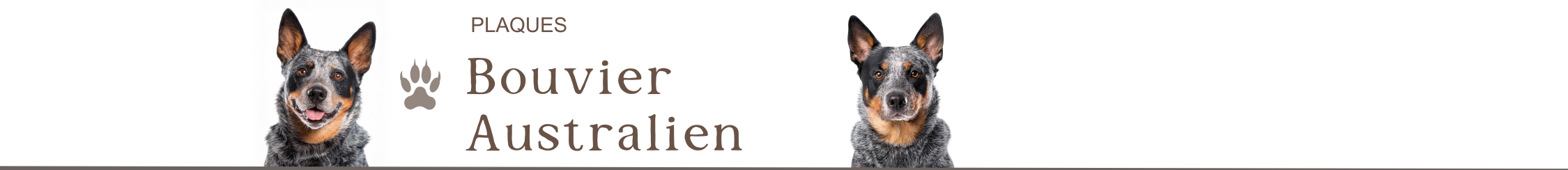 panneaux bouvier australien je monte la garde plaque attention au chien pancarte portail