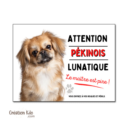 Panneau Pékinois Humour "Chien Lunatique, Le Maître est Pire !" - Plaque de Portail Attention au Chien