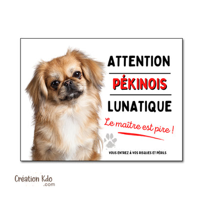 Panneau Pékinois Humour "Chien Lunatique, Le Maître est Pire !" - Plaque de Portail Attention au Chien