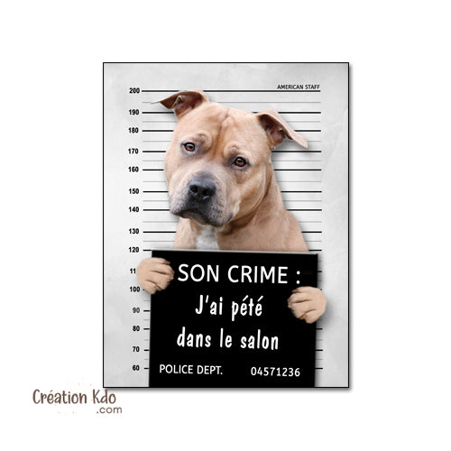 plaque prisonnier chien humour personnalisé american staff