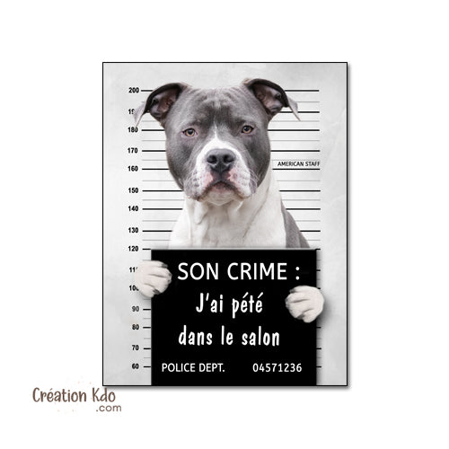 plaque prisonnier chien humour personnalisé american staff