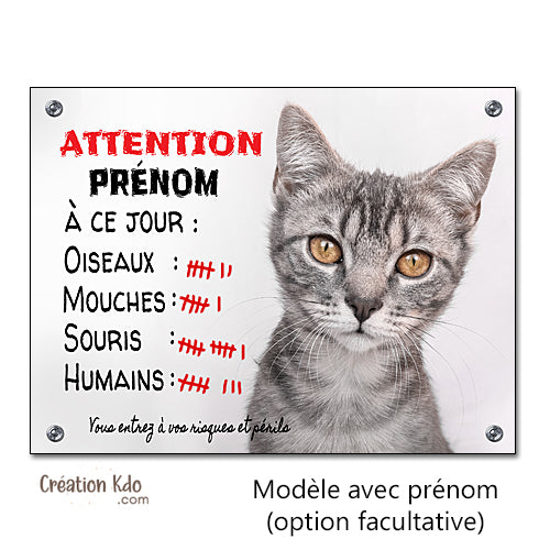 Plaque humour Attention au chat gris tigré à ce jour panneau