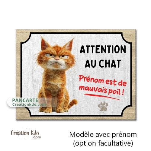 plaque humour attention au chat roux de mauvais poils panneau personnalisé