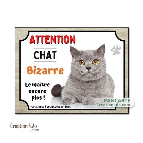 plaque attention au chat bizarre chartreux panneau