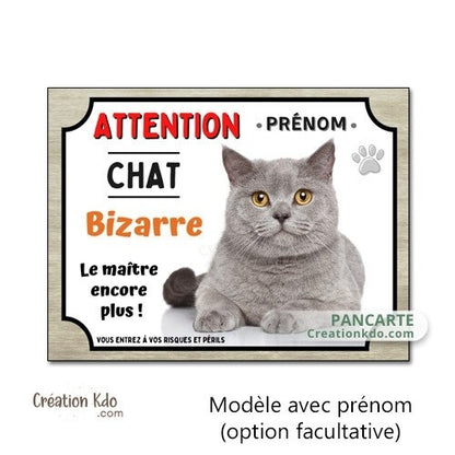 plaque attention au chat bizarre chartreux panneau