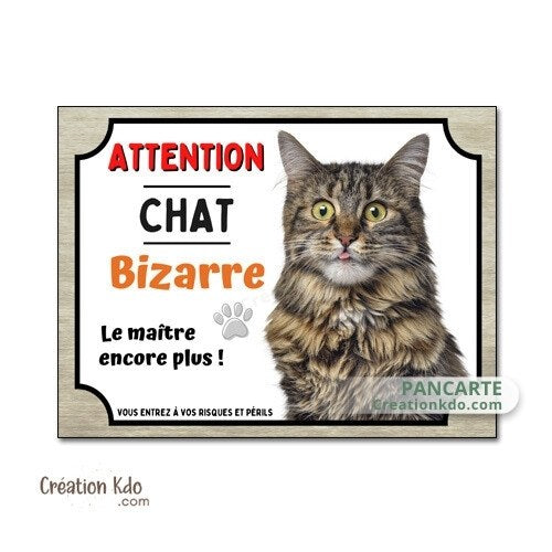 plaque attention au chat bizarre maine coon panneau