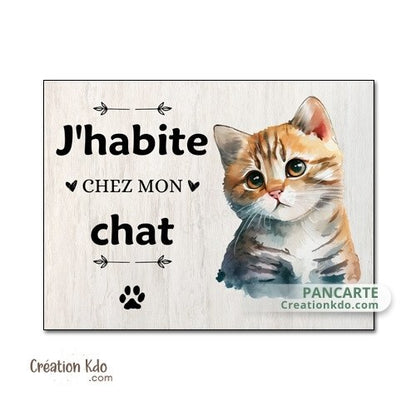 plaque j'habite chez mon chat panneau