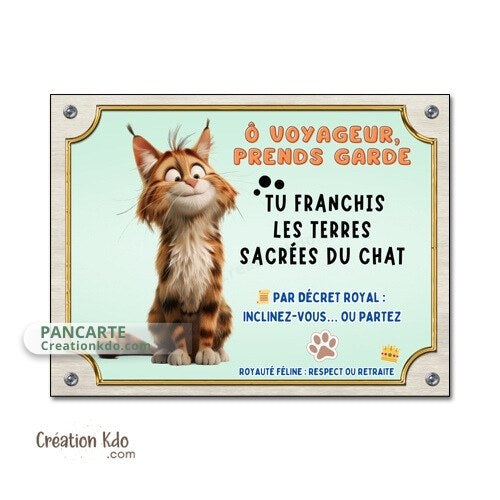 plaque humour attention au chat pancarte marrante panneau maine coon