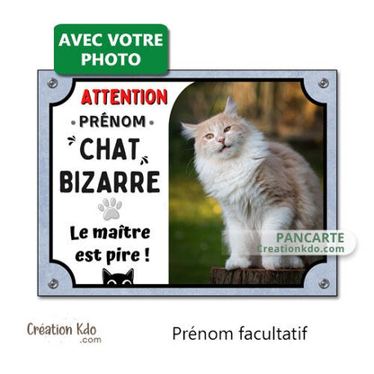 plaque attention chat bizarre humour le maitre est pire panneau portail personnalisé photo
