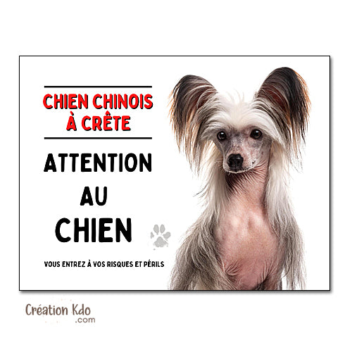 Plaque Attention au Chien Chinois à crête panneau
