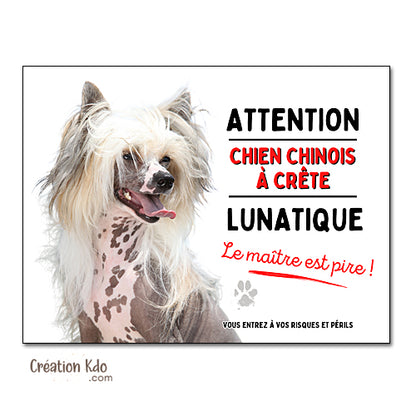 Plaque Attention au Chien Chinois à crête humour lunatique panneau portail