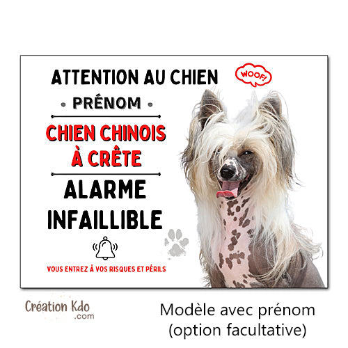 Plaque Attention au Chien Chinois à crête humour Alarme infaillible panneau portail