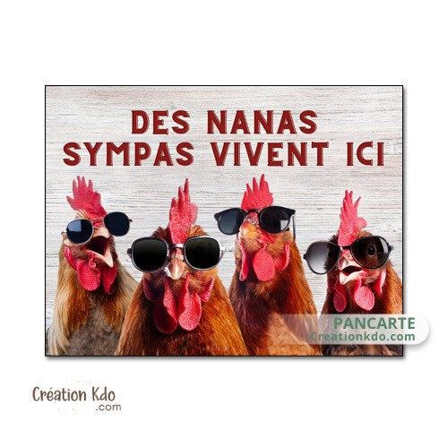 plaque décoration humour poules cool chicks live here nana sympas vivent ici panneau