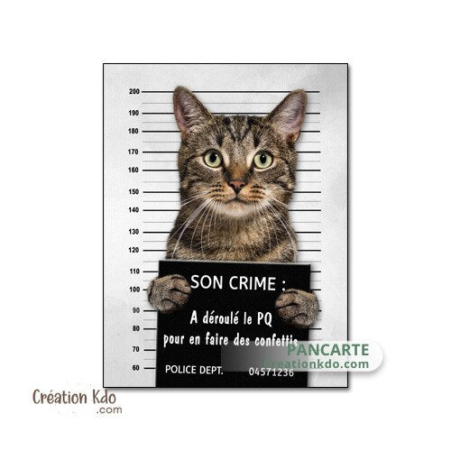 plaque humour chat prisonnier panneau