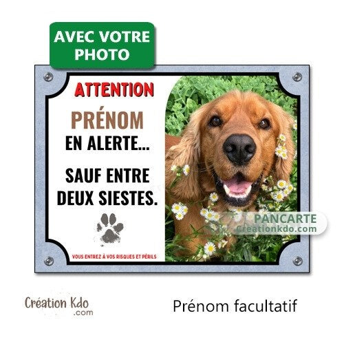 plaque photo personnalisée chien en alerte panneau humour monte la garde pancarte