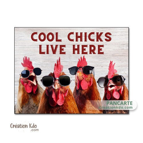 plaque décoration humour poules cool chicks live here nana sympas vivent ici panneau
