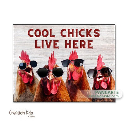 plaque décoration humour poules cool chicks live here nana sympas vivent ici panneau