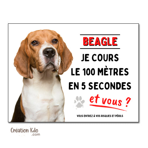 plaque attention au chien beagle humour panneau