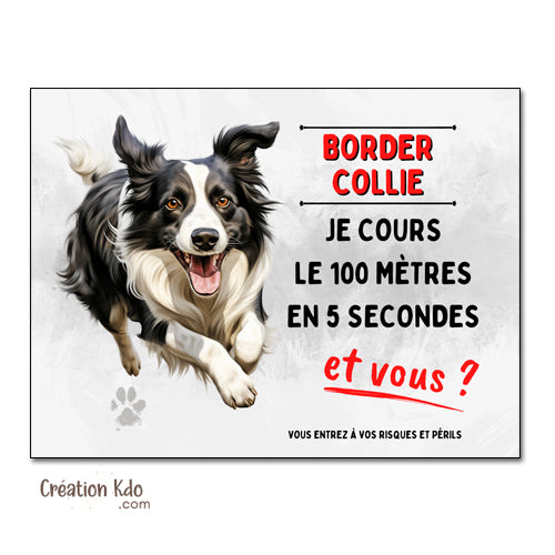 panneau border collie humour je cours le 100 mètres plaque chien
