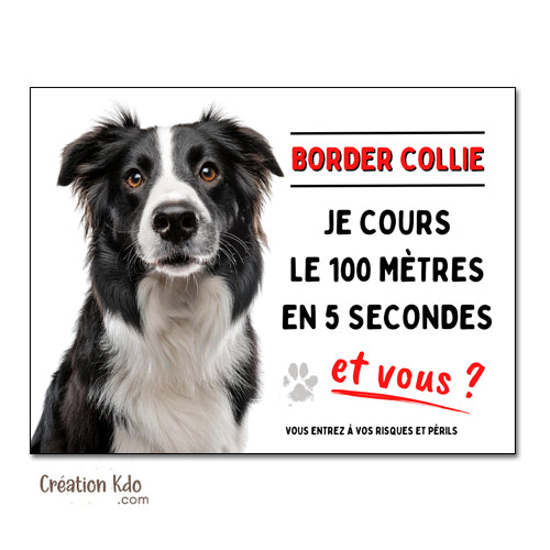 border collie je cours le 100m plaque attention au chien panneau portail je monte la garde
