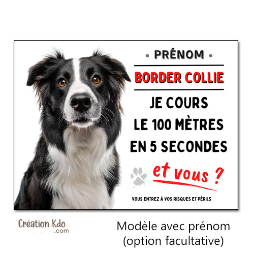 border collie humour je cours le 100 mètres plaque attention au chien panneau portail je monte la garde