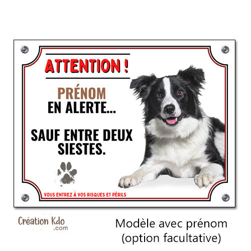 je monte la garde border collie panneau chien portail plaque