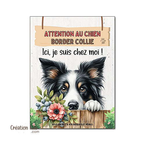 border collie je monte la garde