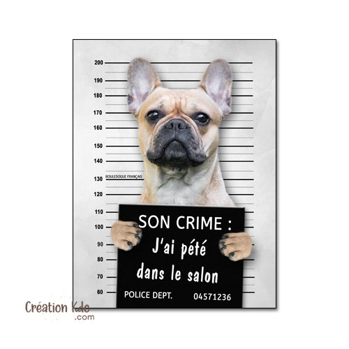 pancarte prisonnier plaque chien bouledogue français