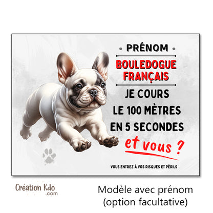 plaque humour bouledogue français panneau attention au chien
