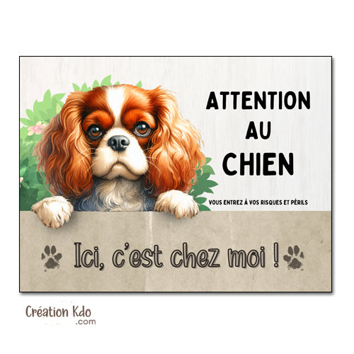 panneau cavalier king charles attention au chien pelage blenheim plaque monte la garde