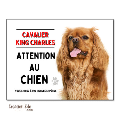 cavalier king charles attention au chien panneau monte la garde plaque portail