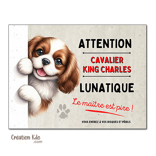 Plaque Cavalier King Charles Attention au chien panneau portail