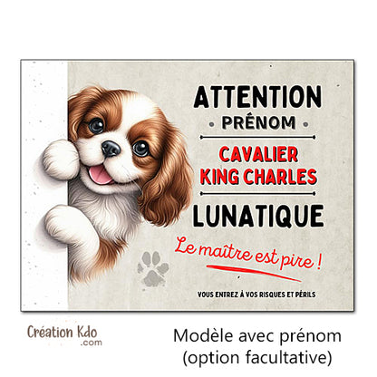 Plaque Cavalier King Charles Attention au chien panneau portail