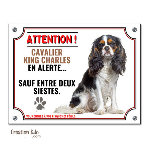 plaque humour cavalier king charles attention au chien panneau portail