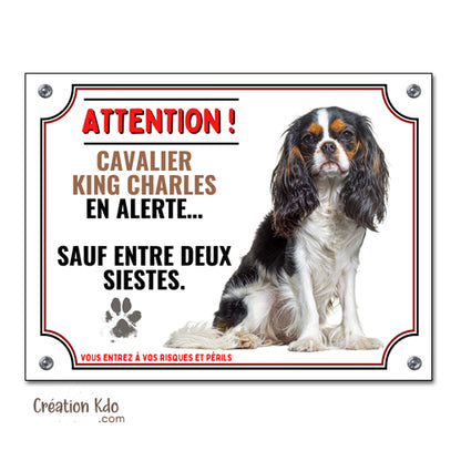 plaque humour cavalier king charles attention au chien panneau portail