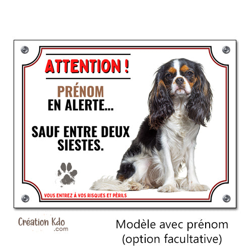 panneau humour cavalier king charles tricolore plaque chien