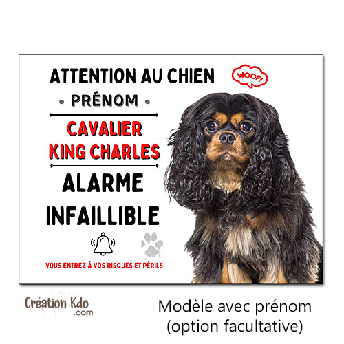 Plaque Cavalier King Charles noir et feu humour Alarme infaillible panneau