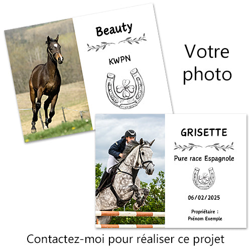plaque de box photo cheval panneau chevaux écurie personnalisée