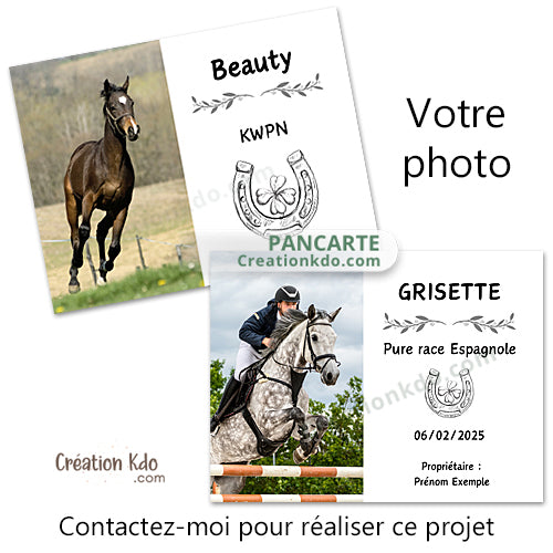 plaque de box photo cheval panneau chevaux écurie personnalisée