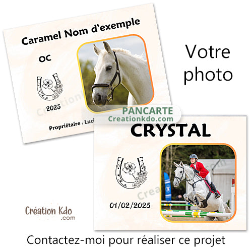 plaque de box photo cheval personnalisée panneau chevaux écurie