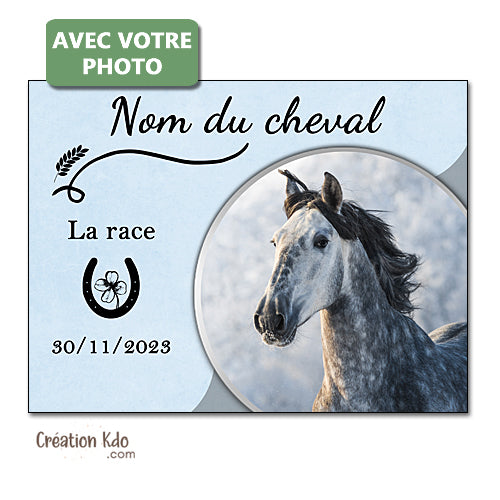 plaque de box cheval photo personnalisé panneau écurie chevaux noms race naissance