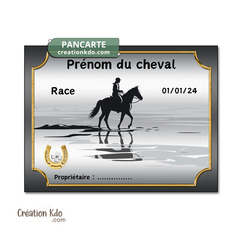 plaque de box cheval personnalisée panneau écurie chevaux race naissance nom pancarte en aluminium